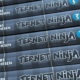 Ternet ninja