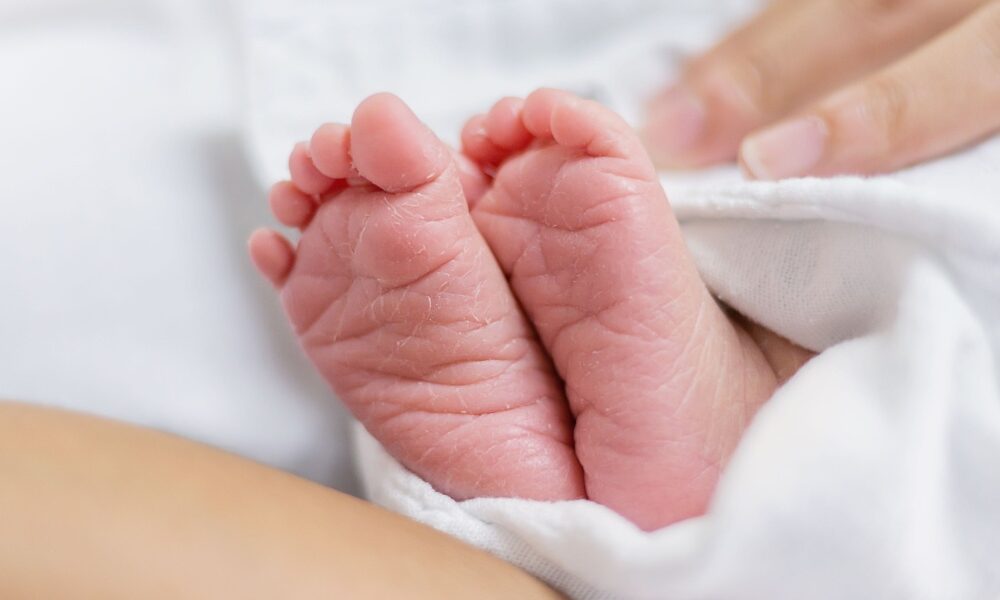 Foto: Shutterstock