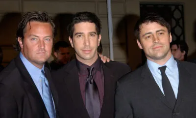 Matthew Perry - david swimmer