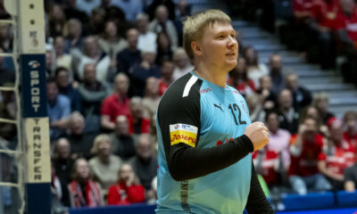 Vm I Håndbold Danmark   Brasilien 33 21
