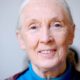2048px jane goodall 2010 1024x576