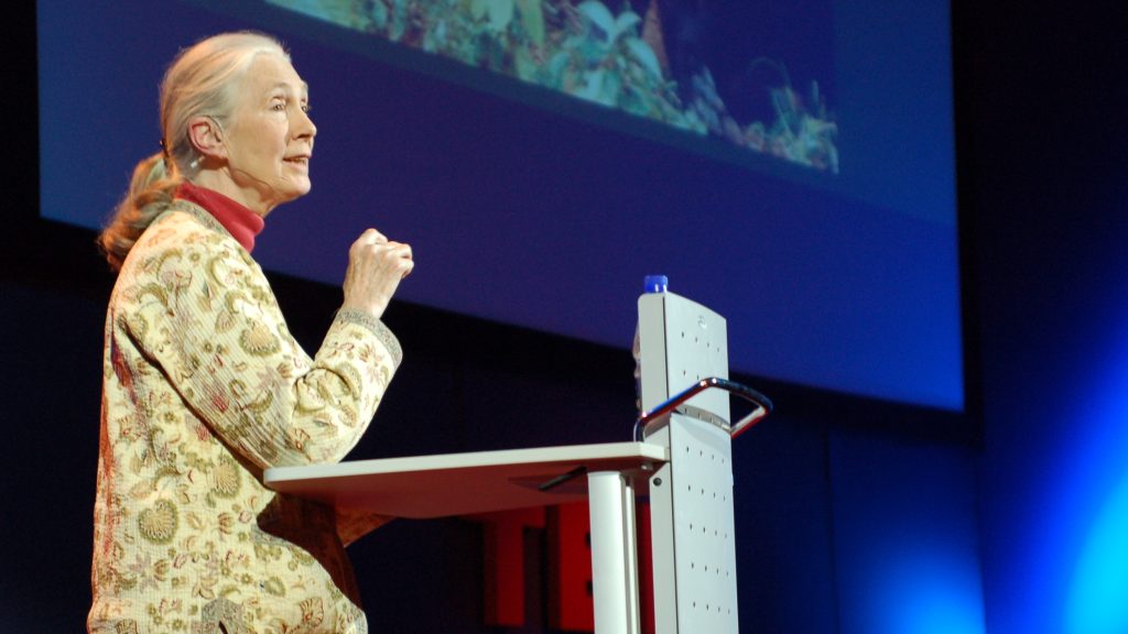 Jane goodall at tedglobal 2007 1 1024x576