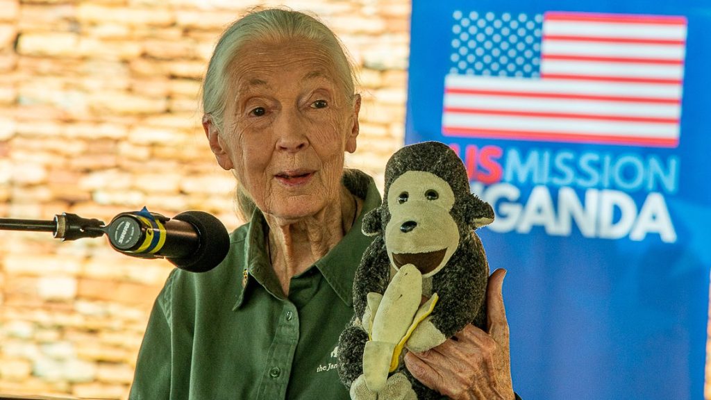 Jane goodall visits united states mission uganda on 4 april 2022   5 1024x576