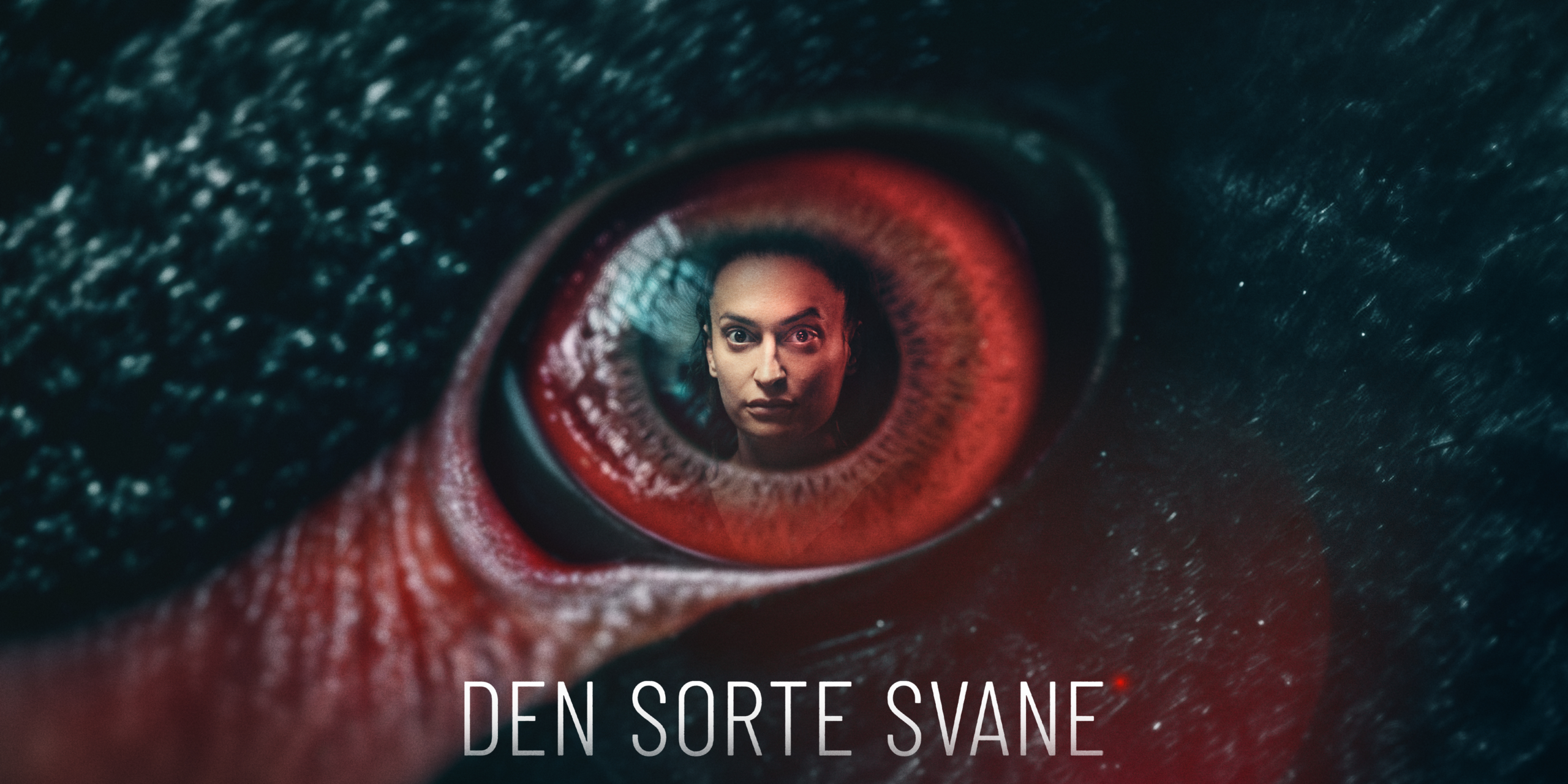 Den sorte svane - Alt om kendte Den Sorte Svane