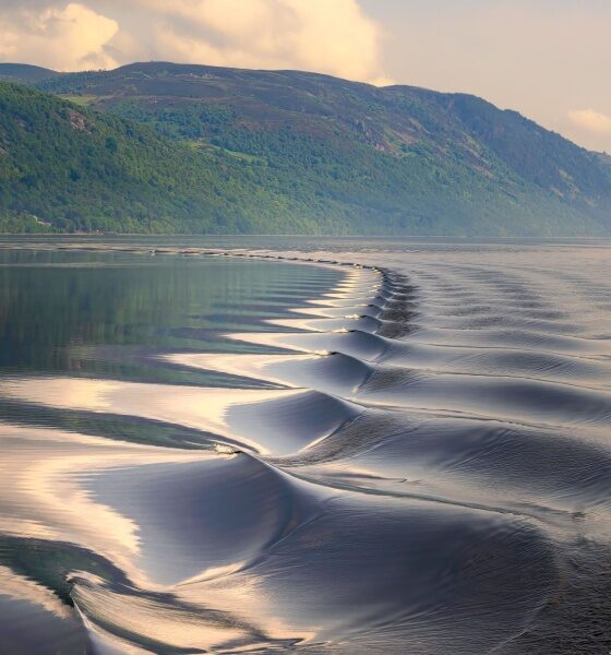 Shutterstock 2341262059