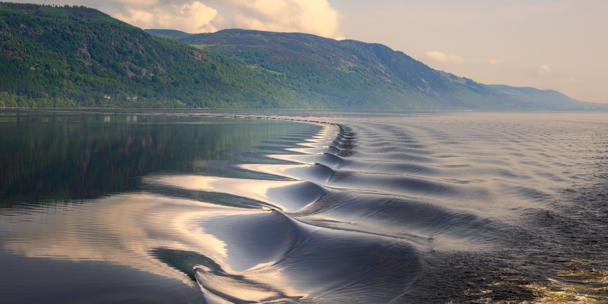 Shutterstock_2341262059 - Alt om kendte Shutterstock 2341262059